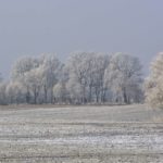 Froid : 5 conseils pour limiter votre consommation d’énergie
