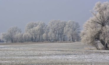 Froid : 5 conseils pour limiter votre consommation d’énergie