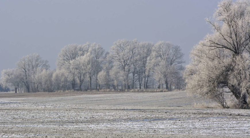 Froid : 5 conseils pour limiter votre consommation d’énergie